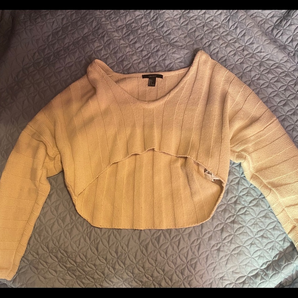 Forever 21 Crop Top Sweater